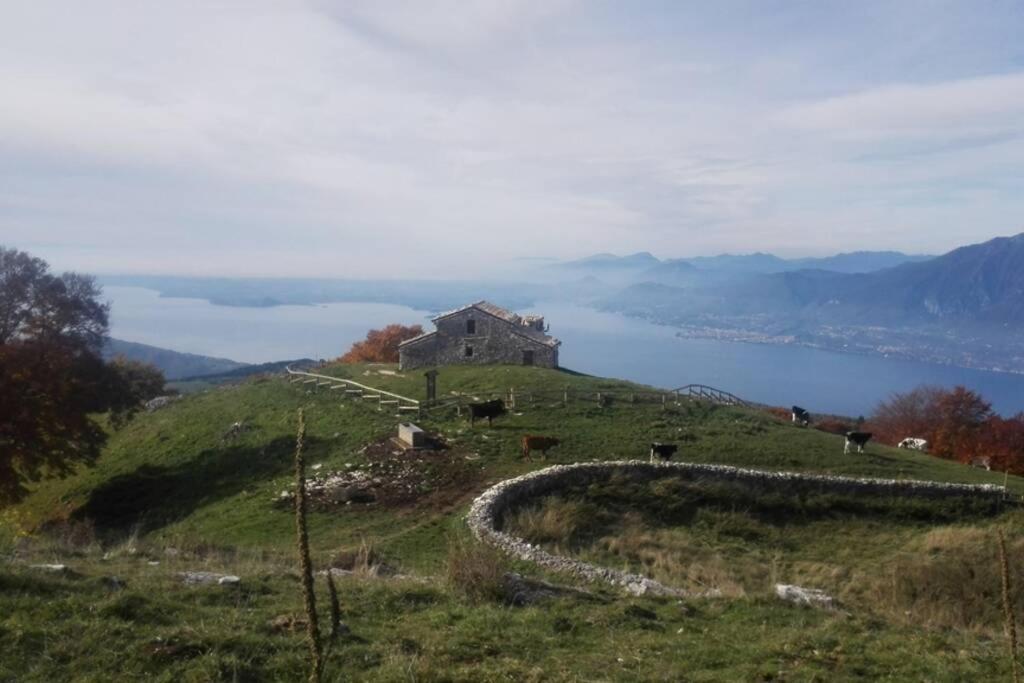 Villa Benacus Lazise Exterior photo